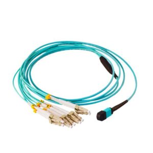 كابل MTP 24F OM3 Breakout Patchcord/Jumper