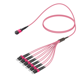 كابل Male MPO/MTP Elite إلى LC/UPC Fanout | Base-12